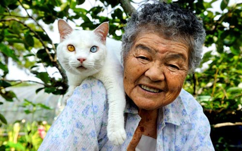 Tình thân giữa cụ bà và mèo mắt lạ